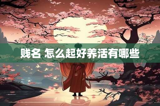 贱名 怎么起好养活有哪些