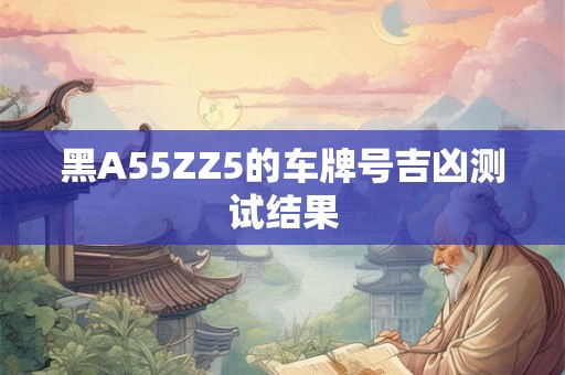 黑A55ZZ5的车牌号吉凶测试结果