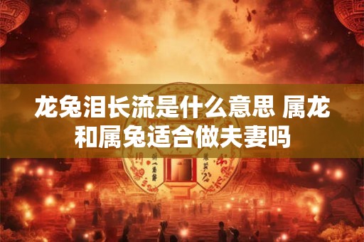 龙兔泪长流是什么意思 属龙和属兔适合做夫妻吗