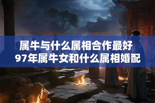 属牛与什么属相合作最好 97年属牛女和什么属相婚配最好