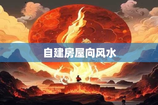自建房屋向风水