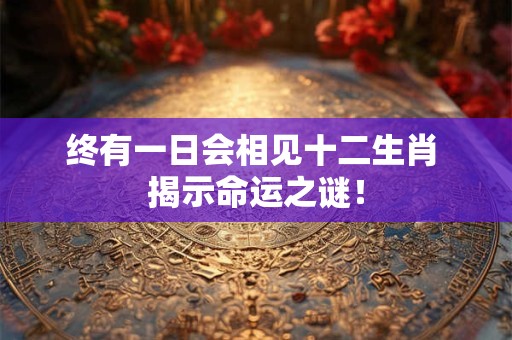 终有一日会相见十二生肖 揭示命运之谜！