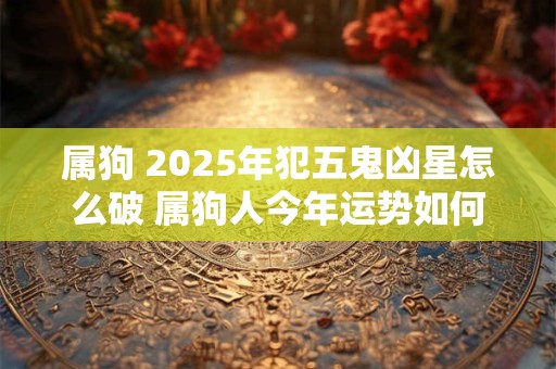 属狗 2025年犯五鬼凶星怎么破 属狗人今年运势如何