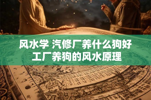 风水学 汽修厂养什么狗好 工厂养狗的风水原理