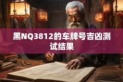 黑NQ3812的车牌号吉凶测试结果