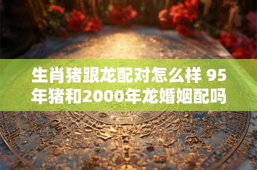 生肖猪跟龙配对怎么样 95年猪和2000年龙婚姻配吗