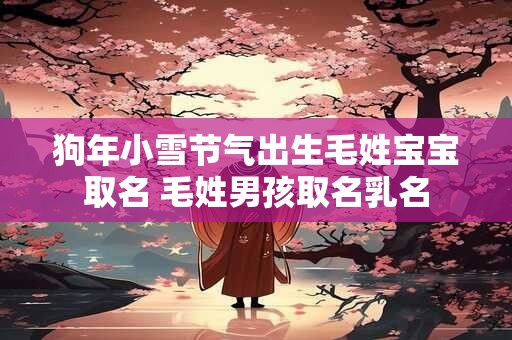 狗年小雪节气出生毛姓宝宝取名 毛姓男孩取名乳名