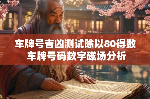 车牌号吉凶测试除以80得数 车牌号码数字磁场分析
