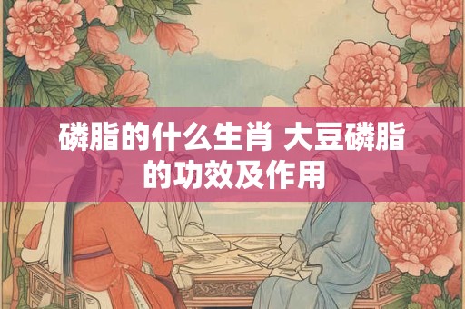 磷脂的什么生肖 大豆磷脂的功效及作用