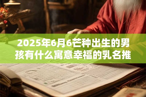 2025年6月6芒种出生的男孩有什么寓意幸福的乳名推荐？