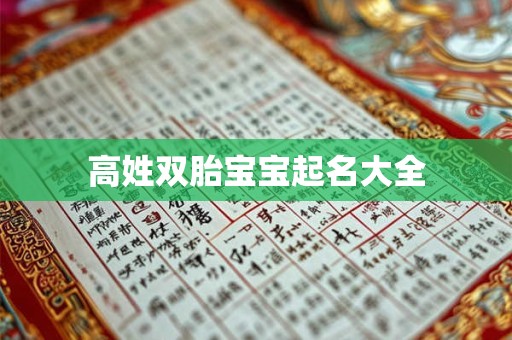 高姓双胎宝宝起名大全