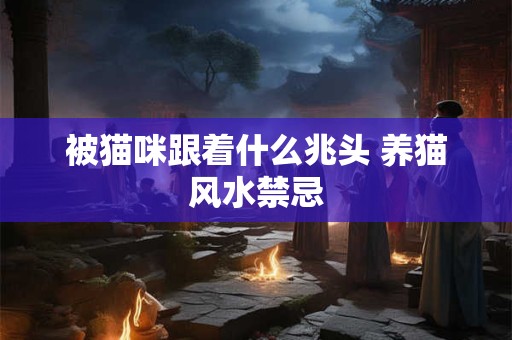 被猫咪跟着什么兆头 养猫风水禁忌