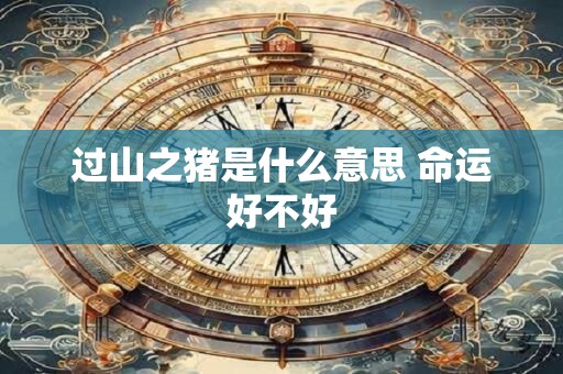 过山之猪是什么意思 命运好不好