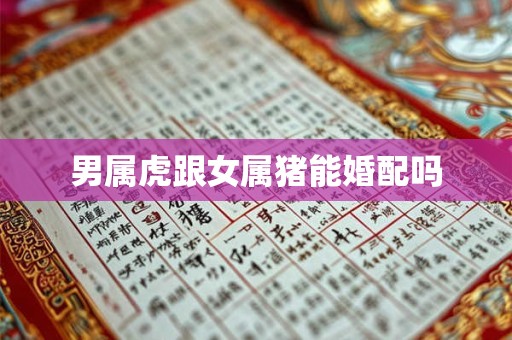 男属虎跟女属猪能婚配吗