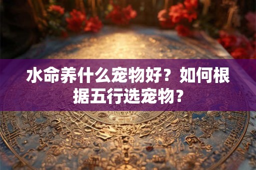 水命养什么宠物好？如何根据五行选宠物？