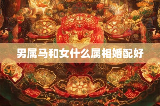 男属马和女什么属相婚配好