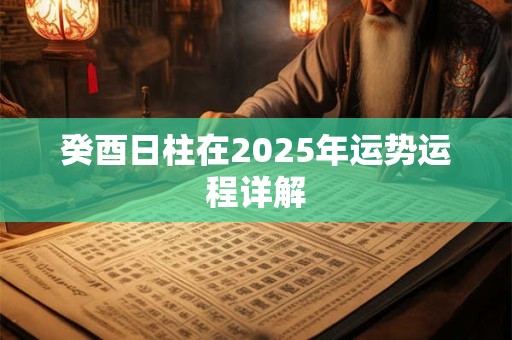 癸酉日柱在2026年运势运程详解