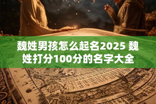 魏姓男孩怎么起名2025 魏姓打分100分的名字大全