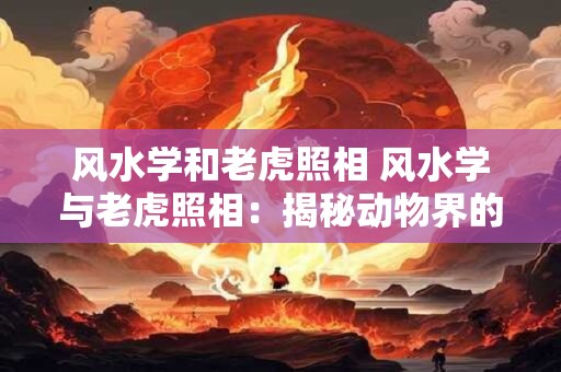 风水学和老虎照相 风水学与老虎照相：揭秘动物界的神秘能量