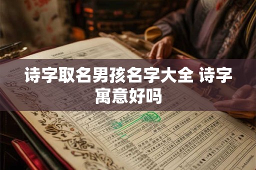 诗字取名男孩名字大全 诗字寓意好吗