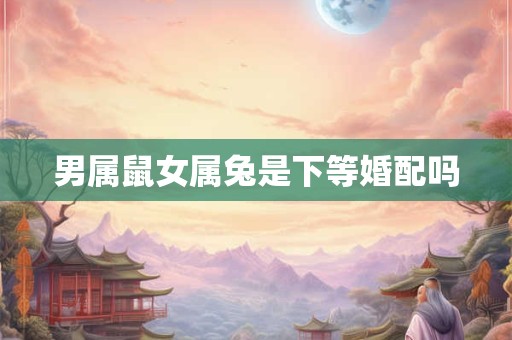 男属鼠女属兔是下等婚配吗