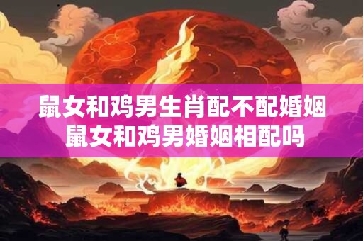 鼠女和鸡男生肖配不配婚姻 鼠女和鸡男婚姻相配吗