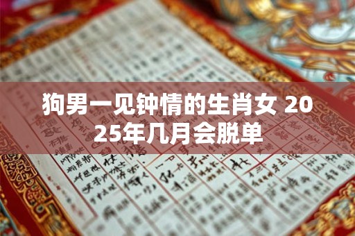 狗男一见钟情的生肖女 2025年几月会脱单