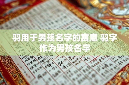羽用于男孩名字的寓意 羽字作为男孩名字