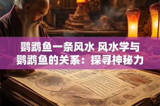 鹦鹉鱼一条风水 风水学与鹦鹉鱼的关系：探寻神秘力量的奥秘