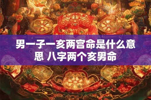男一子一亥两宫命是什么意思 八字两个亥男命