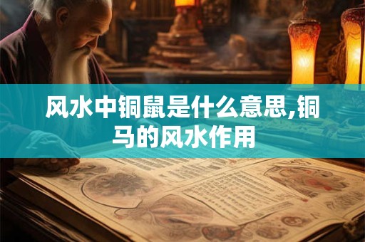 风水中铜鼠是什么意思,铜马的风水作用