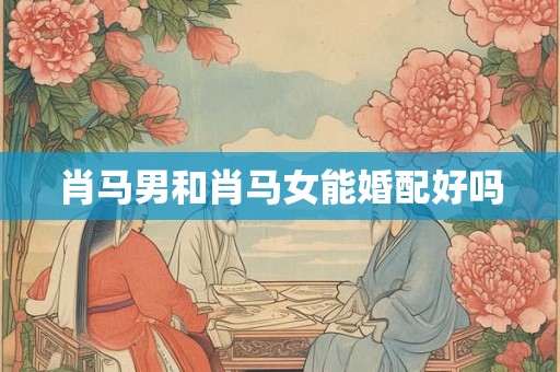 肖马男和肖马女能婚配好吗