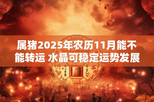 属猪2025年农历11月能不能转运 水晶可稳定运势发展