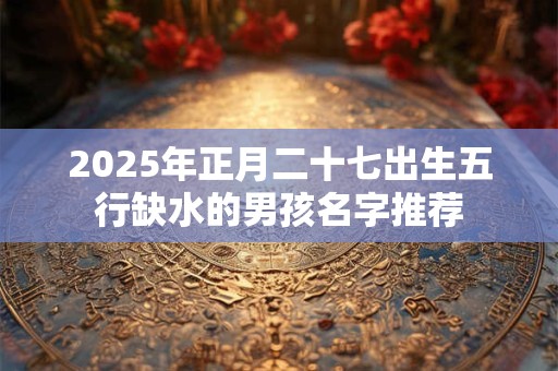 2026年正月二十七出生五行缺水的男孩名字推荐