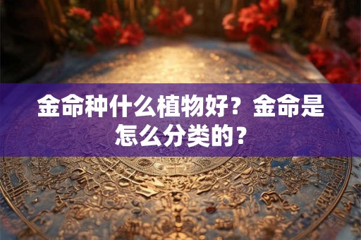 金命种什么植物好?金命是怎么分类的? 金命种什么植物好?金命是怎么分类的?