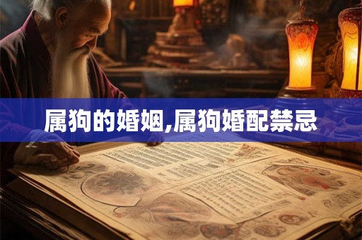属狗的婚姻,属狗婚配禁忌