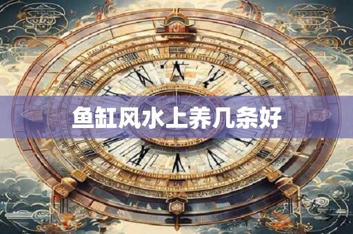 鱼缸风水上养几条好