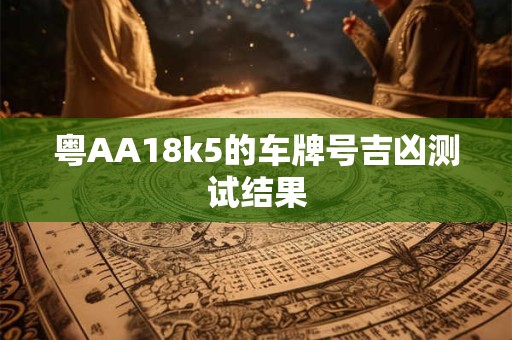 粤AA18k5的车牌号吉凶测试结果