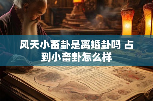 风天小畜卦是离婚卦吗 占到小畜卦怎么样