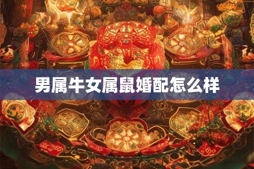 男属牛女属鼠婚配怎么样 男属牛女属鼠婚配怎么样