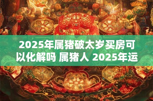 2025年属猪破太岁买房可以化解吗 属猪人 2025年运势如何