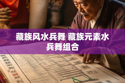 藏族风水兵舞 藏族元素水兵舞组合