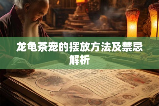 龙龟茶宠的摆放方法及禁忌解析