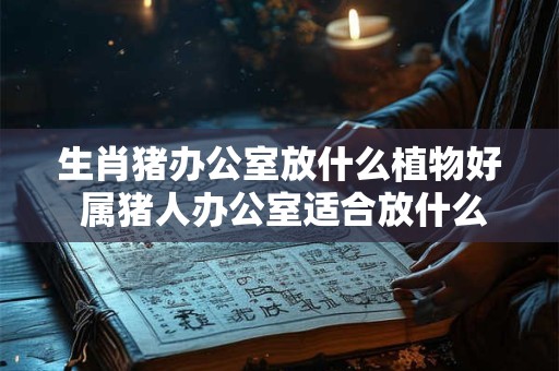 生肖猪办公室放什么植物好 属猪人办公室适合放什么东西