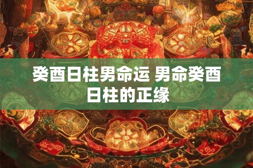 癸酉日柱男命运 男命癸酉日柱的正缘