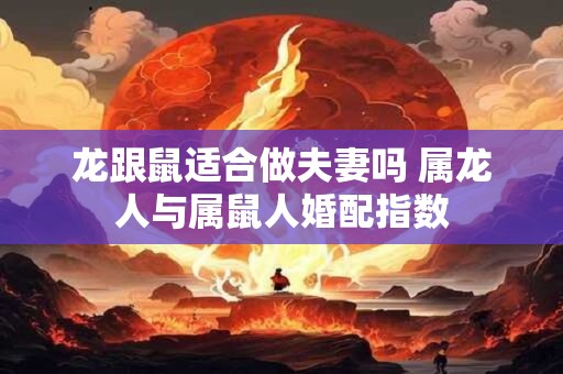 龙跟鼠适合做夫妻吗 属龙人与属鼠人婚配指数