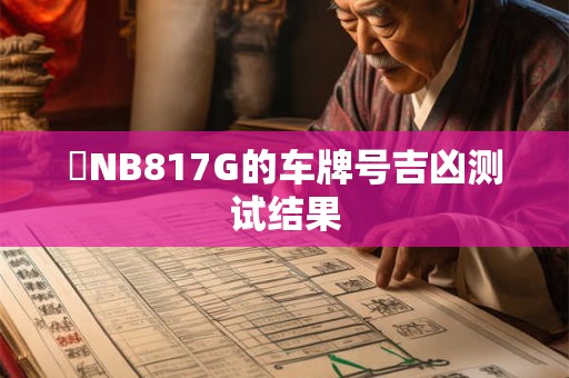 魯NB817G的车牌号吉凶测试结果 魯NB817G的车牌号吉凶测试结果