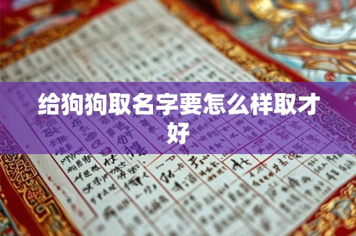 给狗狗取名字要怎么样取才好 给狗狗取名字要怎么样取才好
