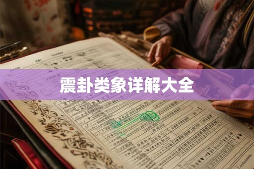 震卦类象详解大全