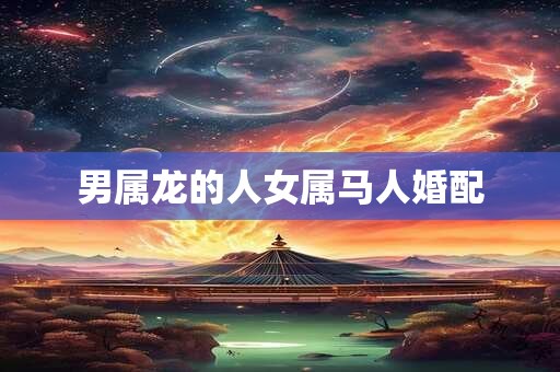 男属龙的人女属马人婚配